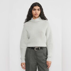 Aritzia Wilfred Montpellier Merino Wool Waist Turtleneck